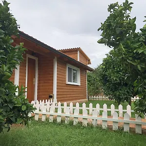 Vakantiehuis The Mussel House, Ksamil
